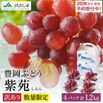訳あり 豊岡ぶどう 紫苑 約300g×4パック