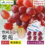 訳あり 豊岡ぶどう 紫苑 約300g×6パック