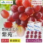 訳あり 豊岡ぶどう 紫苑 約300g×8パック