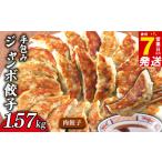 肉餃子 手包み ジャンボ 餃子 45個