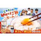 fu.... налог flat .. яйцо 12 шт глициния. рис 2kg.. соевый соус GAM042 яйцо рис Fukuoka префектура Naka река город 