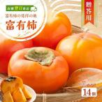 はやし柿園の用富有柿 Lサイズ 14個
