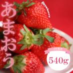 苺 あまおう 540g