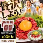 全3回定期便 馬肉さくら ユッケ 約250g
