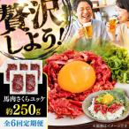 全6回定期便 馬肉さくら ユッケ 約250g