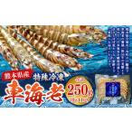 fu.... налог особый рефрижератор море . примерно 250g(9~11 хвост )1 упаковка креветка море ... машина креветка японская тигровая креветка .. момент рефрижератор Kumamoto префектура 