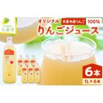ふるさと納税 オリジナル りんご ジュース 6本 入り 100％ストレート 山形 天童 07-03-062 山形県天童市