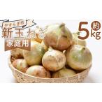 fu.... налог [2026 год 3 месяц после последовательный отправка ] новый шар лук порей 5kg для бытового использования yr-0079 Kochi префектура . юг город 