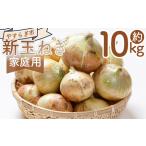 fu.... налог [2026 год 3 месяц после последовательный отправка ] новый шар лук порей 10kg для бытового использования yr-0080 Kochi префектура . юг город 