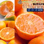 柑橘定期便S 10~12月 全3回