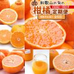 柑橘定期便S 奇数月 全6回