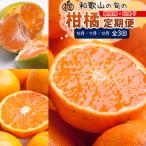 柑橘定期便M 10~12月 全3回