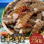 fu.... налог [ предварительный заказ прием 1 месяц .. последовательный отправка ] предубеждение. машина море . нет голова машина море .( рефрижератор )250g×3 упаковка ( всего 750g)F010 Okinawa префектура .. страна блок 