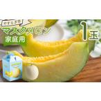 ふるさと納税 《先行予約》マスクメロン 1玉 家庭用 メロン yr-0088 高知県香南市