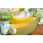 マスクメロン 2玉