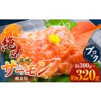 ふるさと納税 絶品！信州サーモン ブロック 300g〜320g 長野県天龍村