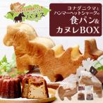 かたちがかわいい ヨナグニウマとハンマー君の食パン&島カ…