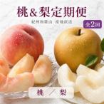 紀州和歌山産旬のフルーツセット 8月:桃3玉