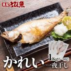 焼魚ざんまい エテカレイ干物 1kg