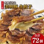 ブランド豚 肉屋が作る 美明豚 生餃子 24個入り×3パック