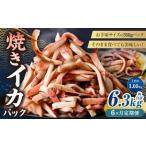 焼きイカ パック 約1050g