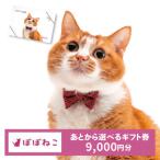 ぽぽねこ 券 封筒タイプ 3000円分オンラインショップで使え…
