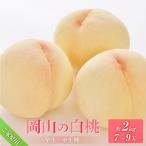 桃 2027年 ご 岡山の白桃 早生 中生種 約2.0kg