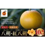 ふるさと納税 【訳あり】 長崎県産 八朔 ・ 紅八朔 約10kg 【2026年2月上旬〜3月上旬迄発送予定】 ／ はっさく 紅はっさく 柑橘 柑橘類 みかん .. 長崎県長崎市