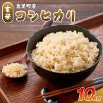 太田産コシヒカリ 玄米 10kg