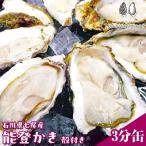 飛田水産 七尾産 能登かき 殻付き半缶 牡蠣