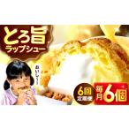 シュークリーム ダブルクリーム ラップシュー 6個入り