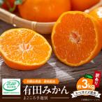 有田みかん 約3kg