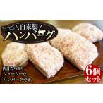 マイスタームラカミのハンバーグ 6個