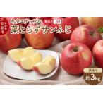 ふるさと納税 【寄附金額見直しました】【26年3月クール便発送】りんご 葉取らずサンふじ【訳あり】約3kg キタエアップル 青森県弘前市
