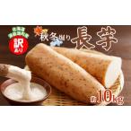 ショッピングふるさと納税 訳あり 不揃い ふるさと納税 洞爺湖町産 訳あり 長芋 約10kg 2025年11月下旬から順次お届け 長いも 国産 北海道産 訳アリ 家庭用 不揃い とろろ 山かけ ステ.. 北海道洞爺湖町