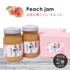 ふるさと納税 桃ジャム「ももっ子」 480g  2本セット [桃 もも モモ ジャム トースト 朝食 フルーツソース 果物 フルーツ 手作り］ ジュレ  兵庫県加東市