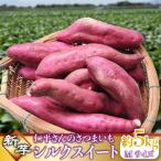 仁平さんの新芋シルクスイート 約5kg