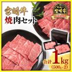 宮崎牛 赤身&肩ロース 食べ比べ焼肉セット1kg 500g