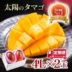 最高級ブランド 太陽のタマゴ 4L×2個×2回