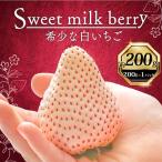 白いちご 計 200g
