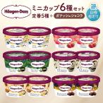 ハーゲンダッツ ミニカップ12個