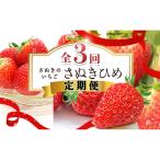 いちご 定期便 さぬきひめ