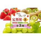 果物類 フルーツ 定期便 3回 讃岐 さぬき さぬきひめ苺