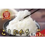 新米 定期便 5kg×6回
