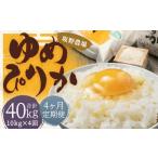 らんこし米 ゆめぴりか約10kg 約5kg×2