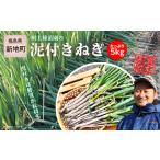 fu.... налог новый земля блок производство грязь имеется длина лук-батун примерно 5kg 1 коробка | овощи ... еда популярный рекомендация бесплатная доставка лук порей лук-батун . длина лук порей ваш заказ Fukushima префектура новый земля блок белый.. Fukushima префектура новый земля блок 