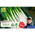 fu.... налог новый земля блок производство длина лук-батун примерно 5kg 1 коробка | овощи ... еда популярный рекомендация бесплатная доставка лук порей лук-батун . длина лук порей ваш заказ Fukushima префектура новый земля блок белый лук порей кастрюля Fukushima префектура новый земля блок 