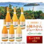田縁農園 6種みかんジュースセット 各2本セット×全6回