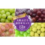 ふるさと納税 シャインマスカットと人気のぶどう 食べ比べ セット 計2房(計1kg以上)品種おまかせ 【2025年9月中旬頃から10月下旬頃発送予定.. 山形県寒河江市