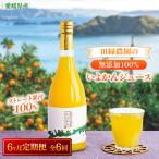 田縁農園 いよかんジュースセット 全6回